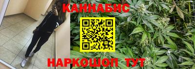 крисы Жуковский
