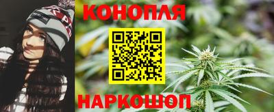 гидропоника Заводоуковск