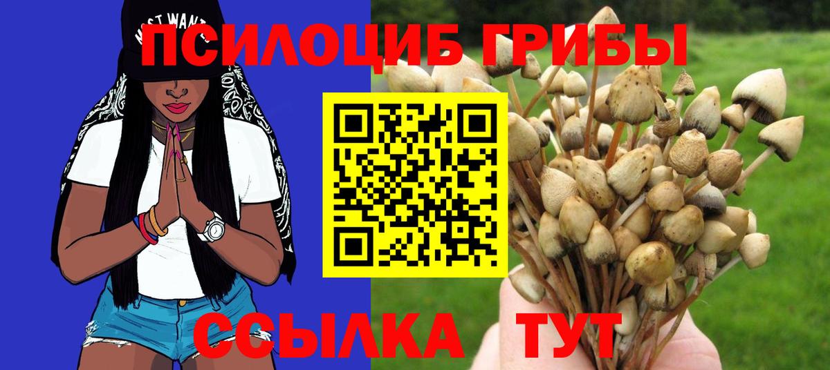 даркнет сайт  Псилоцибиновые грибы Cubensis  Вход с VPN  Приморско-Ахтарск  Псилоцибиновые грибы MAGIC MUSHROOMS 